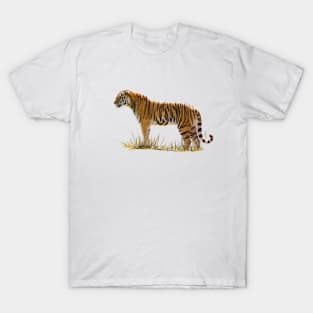 Tiger T-Shirt